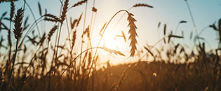 Our department has changed