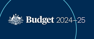 Budget 2024-25