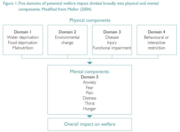 Figure 1: A model for assessing the relative humaneness of pest animal control methods