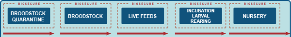 Image showing the process of Biosecurity.