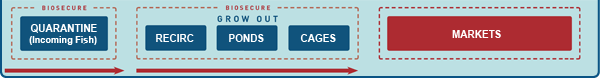 Image showing the process of Biosecurity.