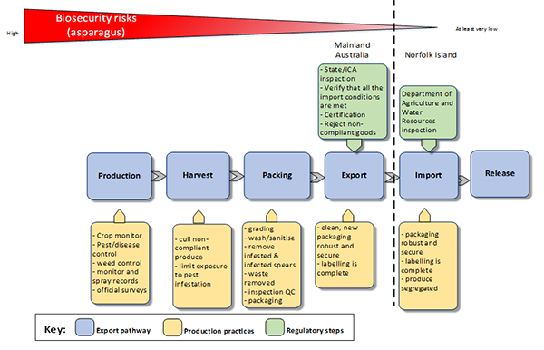 The photo depicts a visual graphic that explains the biosecurity risks posed by asparagus imported into Norfolk Island from the Australian mainland. The risks are depicted as going from a high risk during production, harvest and packing to a low risk upon export and a very low risk upon import and release.    The key depicts the following components: the export pathway, production practices and regulatory steps.    The export pathway includes production, harvest, packing, export, import and release.    The production pathway identifies production practices including crop management, pest/disease control, weed control, monitor and spray records and official surveys.    The harvest pathway identifies harvest practices including cull non-compliance product, and limit exposure to pest infestation    The packing pathway identifies packing practices including washing and sanitising, grading, removing infested and infected spears, waste removal, inspection and quality checking, packaging and treatment.    The export pathway identifies clean, new robust and secure packaging and labelling.    The regulatory controls for the export pathway include state and interstate certification assurance inspection, verification that all import conditions are met, certification and rejection of non-compliant goods.    The import pathway identifies import practices including packaging clean, new robust, labelling and segregation of goods. The regulatory steps for the import pathway includes inspection by Department of Agriculture and Water Resources    The release pathway does not have any production practices or regulatory steps identified.
