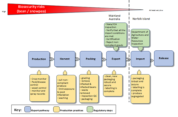 The photo depicts a visual graphic that explains the biosecurity risks posed by beans and snowpeas imported into Norfolk Island from the Australian mainland. The risks are depicted as going from a high risk during production, harvest and packing to a low risk upon export and a very low risk upon import and release.    The key depicts the following components: the export pathway, production practices and regulatory steps.    The export pathway includes production, harvest, packing, export, import and release.    The production pathway identifies production practices including crop management, pest/disease control, weed control, monitor and spray records.    The harvest pathway identifies harvest practices including cull non-compliance product, limit exposure to pest infestation and washing.    The packing pathway identifies packing practices including grading, removing infested and infected beans, waste removed, inspection and quality checking, packaging and treatment.    The export pathway identifies clean, new robust and secure packaging and labelling.    The regulatory controls for the export pathway include state and interstate certification assurance inspection, verification that all import conditions are met, certification and rejection of non-compliant goods.    The import pathway identifies import practices including packaging clean, new robust, labelling and segregation of goods. The regulatory steps for the import pathway includes inspection by Department of Agriculture, Fisheries and Forestry
   The release pathway does not have any production practices or regulatory steps identified.