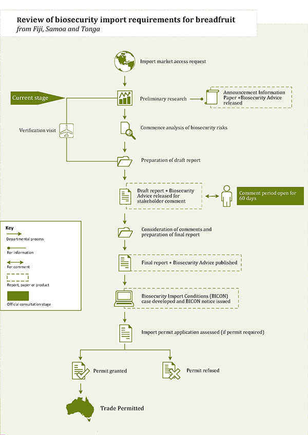 Flow chart showing the overview of the non-regulated risk analysis process for breadfruit from Fiji, Samoa and Tonga