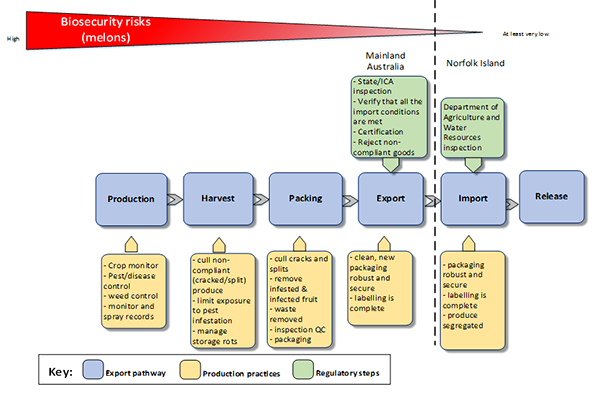The photo depicts a visual graphic that explains the biosecurity risks posed by melons imported into Norfolk Island from the Australian mainland. The risks are depicted as going from a high risk during production, harvest and packing to a low risk upon export and a very low risk upon import and release.    The key depicts the following components: the export pathway, production practices and regulatory steps.    The export pathway includes production, harvest, packing, export, import and release.    The production pathway identifies production practices including crop management, pest/disease control, weed control, and monitor and spray records.    The harvest pathway identifies harvest practices including cull non-compliance product (cracked or split), limit exposure to pest infestation, and manage storage rots.    The packing pathway identifies packing practices including cull cracks and splits,  removing infested and infected fruit, waste remaval and inspection and quality checking, packaging and treatment.    The export pathway identifies clean, new robust and secure packaging and labelling.    The regulatory controls for the export pathway include state and interstate certification assurance inspection, verification that all import conditions are met, certification and rejection of non-compliant goods.    The import pathway identifies import practices including packaging clean, new robust, labelling and segregation of goods. The regulatory steps for the import pathway includes inspection by Department of Agriculture and Water Resources    The release pathway does not have any production practices or regulatory steps identified.