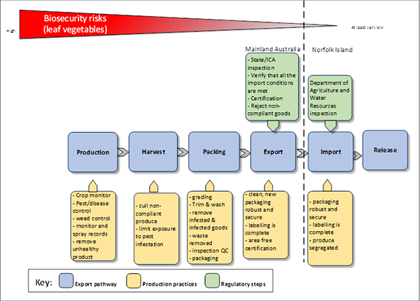 The photo depicts a visual graphic that explains the biosecurity risks posed by leafy vegetables imported into Norfolk Island from the Australian mainland. The risks are depicted as going from a high risk during production, harvest and packing to a low risk upon export and a very low risk upon import and release. The key depicts the following components: the export pathway, production practices and regulatory steps. The export pathway includes production, harvest, packing, export, import and release. The production pathway identifies production practices including crop management, pest/disease control, weed control, pruning, monitor and spray records and official surveys. The harvest pathway identifies harvest practices including cull non-compliance product, and limit exposure to pest infestation The packing pathway identifies packing practices including washing and brushing, grading, removing infested and infected fruit, inspection and quality checking, packaging and treatment. The export pathway identifies clean, new robust and secure packaging and labelling. The regulatory controls for the export pathway include state and interstate certification assurance inspection, verification that all import conditions are met, certification and rejection of non-compliant goods. The import pathway identifies import practices including packaging clean, new robust, labelling and segregation of goods. The regulatory steps for the import pathway includes inspection by Department of Agriculture and Water Resources The release pathway does not have any production practices or regulatory steps identified.