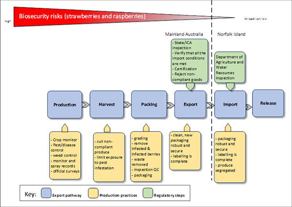 The photo depicts a visual graphic that explains the biosecurity risks posed by strawberries and raspberries imported into Norfolk Island from the Australian mainland. The risks are depicted as going from a high risk during production, harvest and packing to a low risk upon export and a very low risk upon import and release. The key depicts the following components: the export pathway, production practices and regulatory steps. The export pathway includes production, harvest, packing, export, import and release. The production pathway identifies production practices including crop management, pest/disease control, weed control, pruning, monitor and spray records and official surveys. The harvest pathway identifies harvest practices including cull non-compliance product, and limit exposure to pest infestation The packing pathway identifies packing practices including washing and brushing, grading, removing infested and infected fruit, inspection and quality checking, packaging and treatment. The export pathway identifies clean, new robust and secure packaging and labelling. The regulatory controls for the export pathway include state and interstate certification assurance inspection, verification that all import conditions are met, certification and rejection of non-compliant goods. The import pathway identifies import practices including packaging clean, new robust, labelling and segregation of goods. The regulatory steps for the import pathway includes inspection by Department of Agriculture and Water Resources The release pathway does not have any production practices or regulatory steps identified.