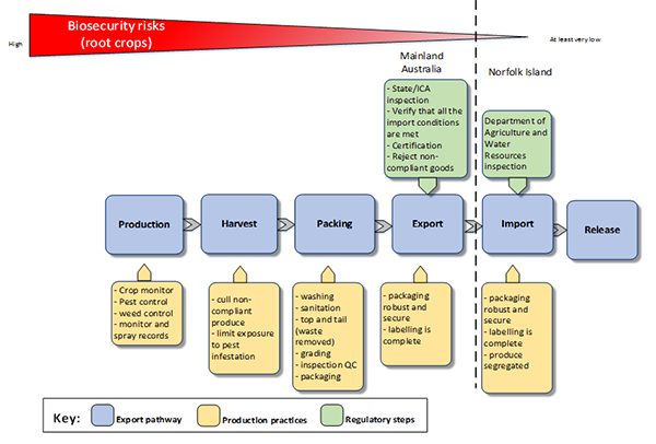 The photo depicts a visual graphic that explains the biosecurity risks posed by rootcrops imported into Norfolk Island from the Australian mainland. The risks are depicted as going from a high risk during production, harvest and packing to a low risk upon export and a very low risk upon import and release.    The key depicts the following components: the export pathway, production practices and regulatory steps.    The export pathway includes production, harvest, packing, export, import and release.    The production pathway identifies production practices including crop management, pest/disease control, weed control, and monitor and spray records.    The harvest pathway identifies harvest practices including cull non-compliance product, and limit exposure to pest infestation    The packing pathway identifies packing practices including washing, grading, sanitation, top and tail (waste removed) and inspection and quality checking, packaging and treatment.    The export pathway identifies clean, new robust and secure packaging and labelling.    The regulatory controls for the export pathway include state and interstate certification assurance inspection, verification that all import conditions are met, certification and rejection of non-compliant goods.    The import pathway identifies import practices including packaging clean, new robust, labelling and segregation of goods. The regulatory steps for the import pathway includes inspection by Department of Agriculture and Water Resources    The release pathway does not have any production practices or regulatory steps identified.