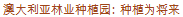 Chinese characters that reads Australian Forestry Plantations: planting for the future