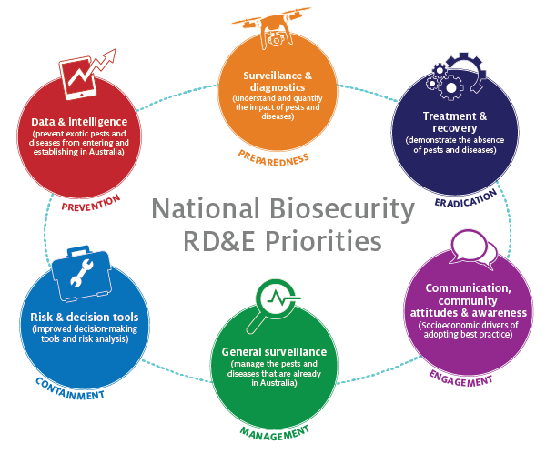 This image illustrates the National Biosecurity Research, Development and Extension Priorities. The title is located in the centre of the image, it reads “National Biosecurity RD&E Priorities” in large grey font. There are six priorities in the image which address six aspects of the biosecurity system. They are: • Data and intelligence (prevent exotic) – Prevention • Surveillance and diagnostics (understand and quantify the impact of pests and diseases) – Preparedness • Treatment and recovery (demonstrate the absence of pests and diseases) - Eradication • Communication, community attitudes and awareness (socioeconomic drivers of adopting best practice) - Engagement • General surveillance (manage the pests and diseases that are already in Australia) - Management • Risk and decision tools (improved decision-making tools and risk analysis) - Containment Each priority is shown in a different coloured bubble containing a priority heading and subheading in white font. The aspect for each priority is shown underneath the bubble in the same colour font as the bubble. There is also an icon on each bubble with a small info graphic – a smart phone for data and intelligence, a drone for surveillance and diagnostics, cogs for treatment and recovery, a briefcase for risk and decision tools, a microscope for general surveillance and speech bubbles for communication, community attitudes and awareness. The six bubbles form a circle around the title and are connected by a blue dotted line.