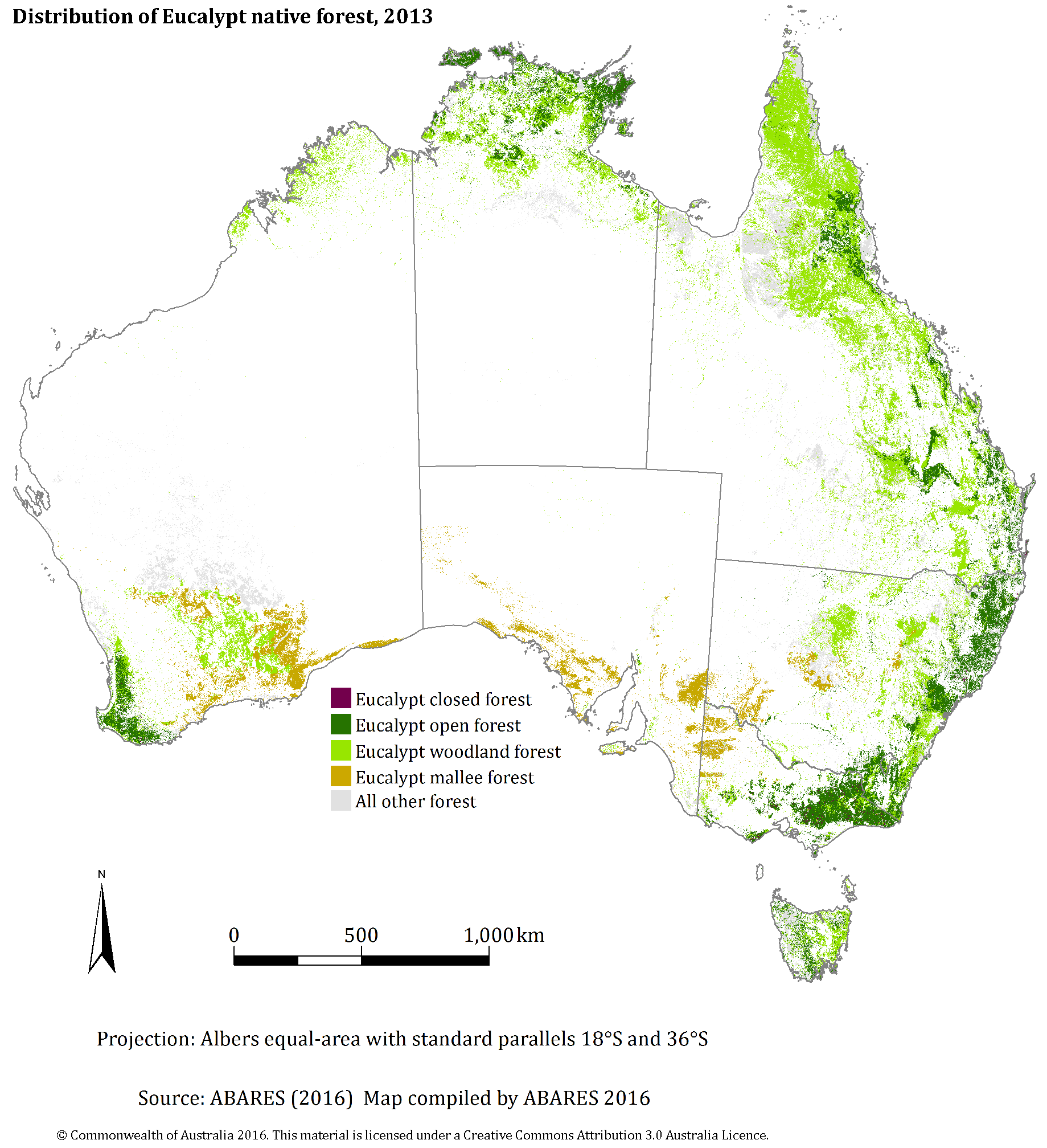 Eucalypt forest - DAFF