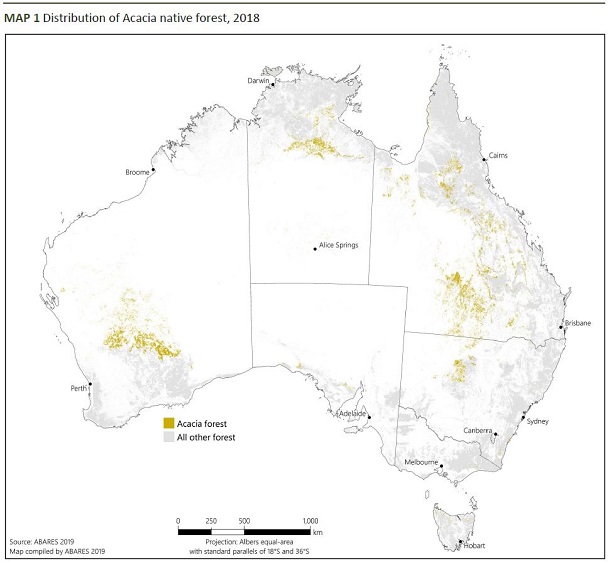 Acacia forest - DAFF