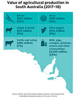 Value of agricultural production in South Australia (2017-18) infographic
