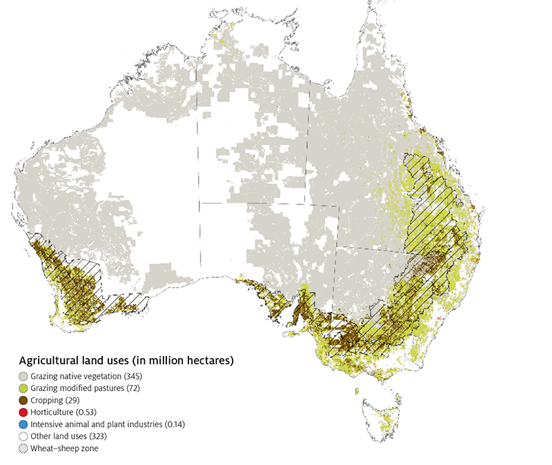 In 2018–19 the value of agricultural production is forecast to be relatively unchanged at $60 billion. The value of production is above the 10-year average of $56 billion (in 2018–19 dollars). Crop production is forecast to be $30 billion and livestock and livestock products are forecast to be $30 billion.