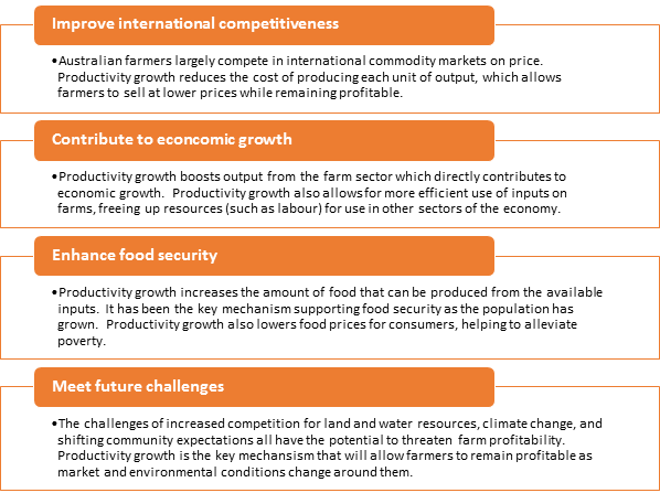 benefits of productivity growth include: Improve international competitiveness, Contribute to econcomic growth, Enhance food security and help meet future challenges