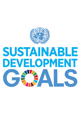Logo of United Nations Sustainable Development Goals