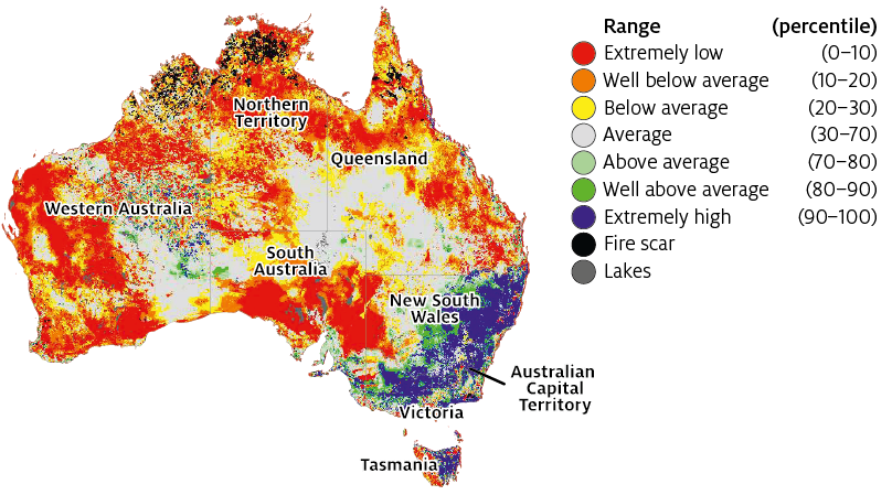 Total standing dry matter is at well above average for most of eastern New South Wales, Victoria and Tasmania. Average levels can be found in most of south-west Queensland. Below average to extremely low levels persist across parts of most states.