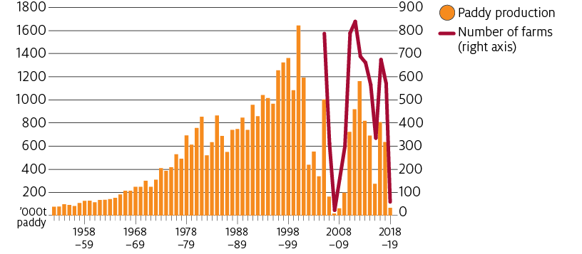 Australian rice production grew from less than 100,000 tonnes in the early 1950s, to over 1 million tonnes in the 1990s. Rice production varies dramatically with seasonal climate conditions and the availability of irrigation water.