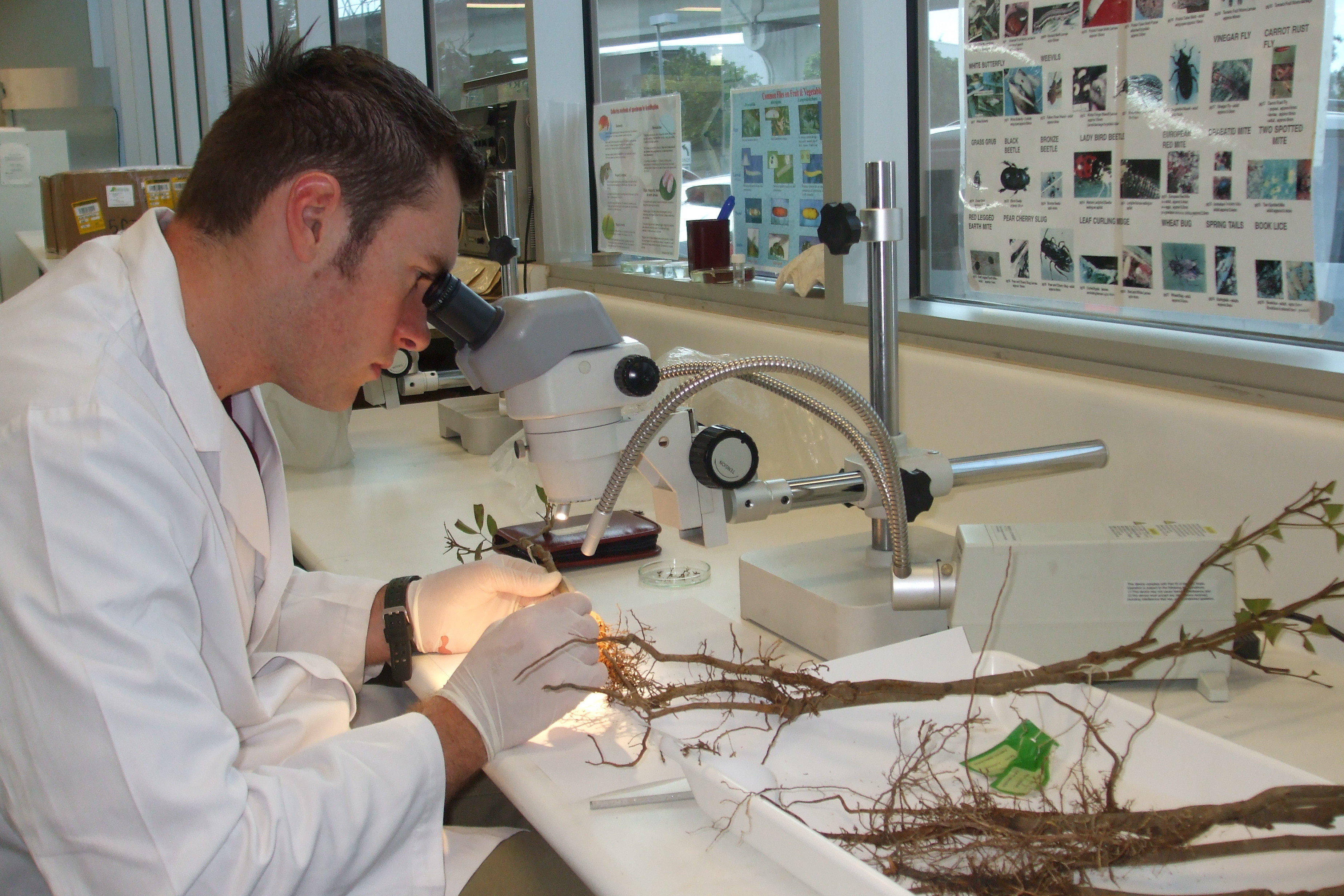 Innovative biosecurity solutions put to the test - DAFF