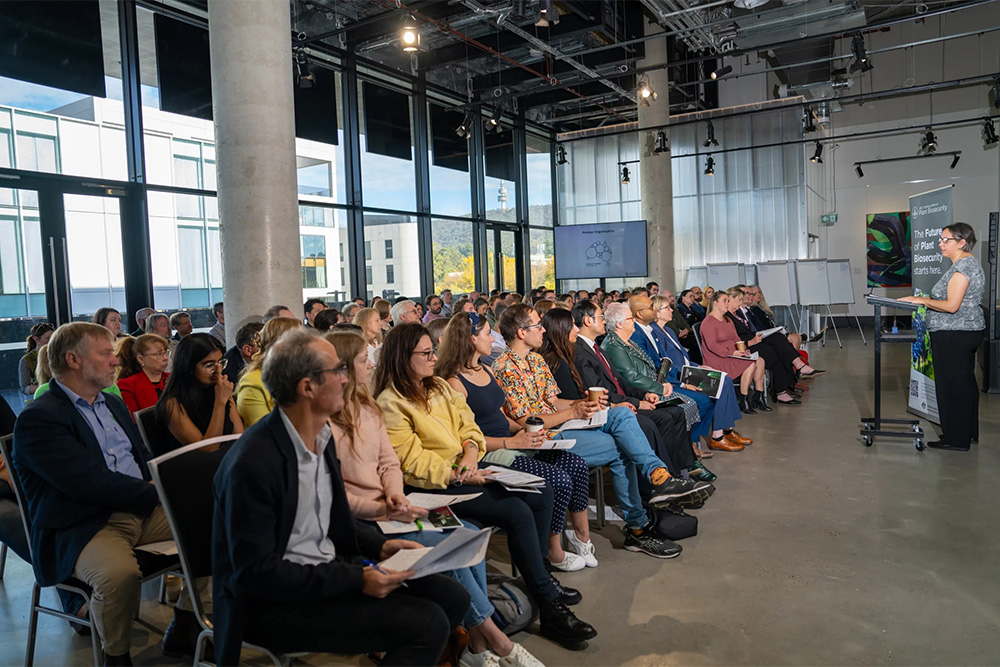 Image of a large group of people sitting, watching a presentation