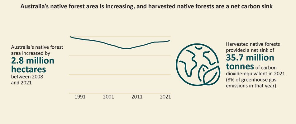 This graph shows Australia’s native forest area is increasing, and harvested forests are a net carbon sink.