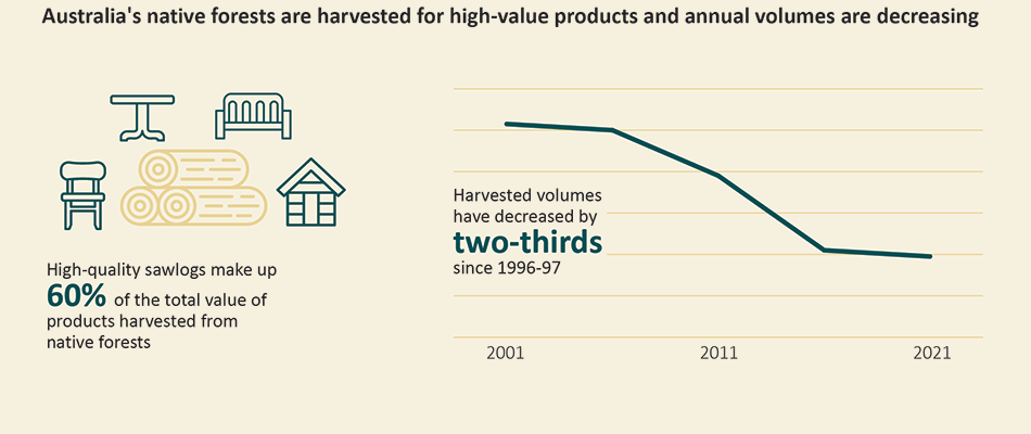 This graph shows Australia’s native forests are harvested for high-value products and annual volumes are decreasing.