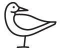 Decorative image