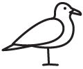 Decorative image