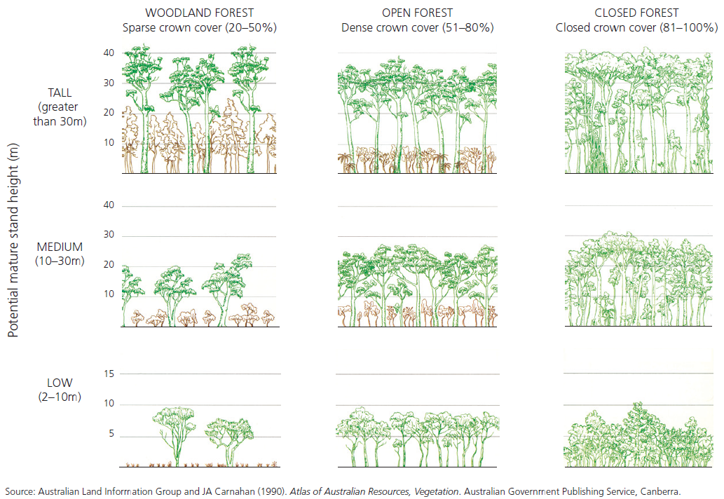 The diagram is a three-by-three grid showing how Australia’s native forests are classified into nine structural classes of three crown cover classes (Woodland, Open, Closed) by three stand height classes (Low, Medium, Tall).