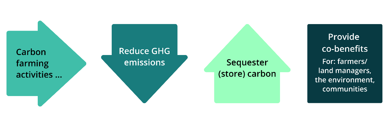 Fig 1-Carbon farming .png