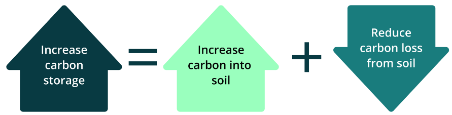 Fig 13-Increasing carbon sequestration.png