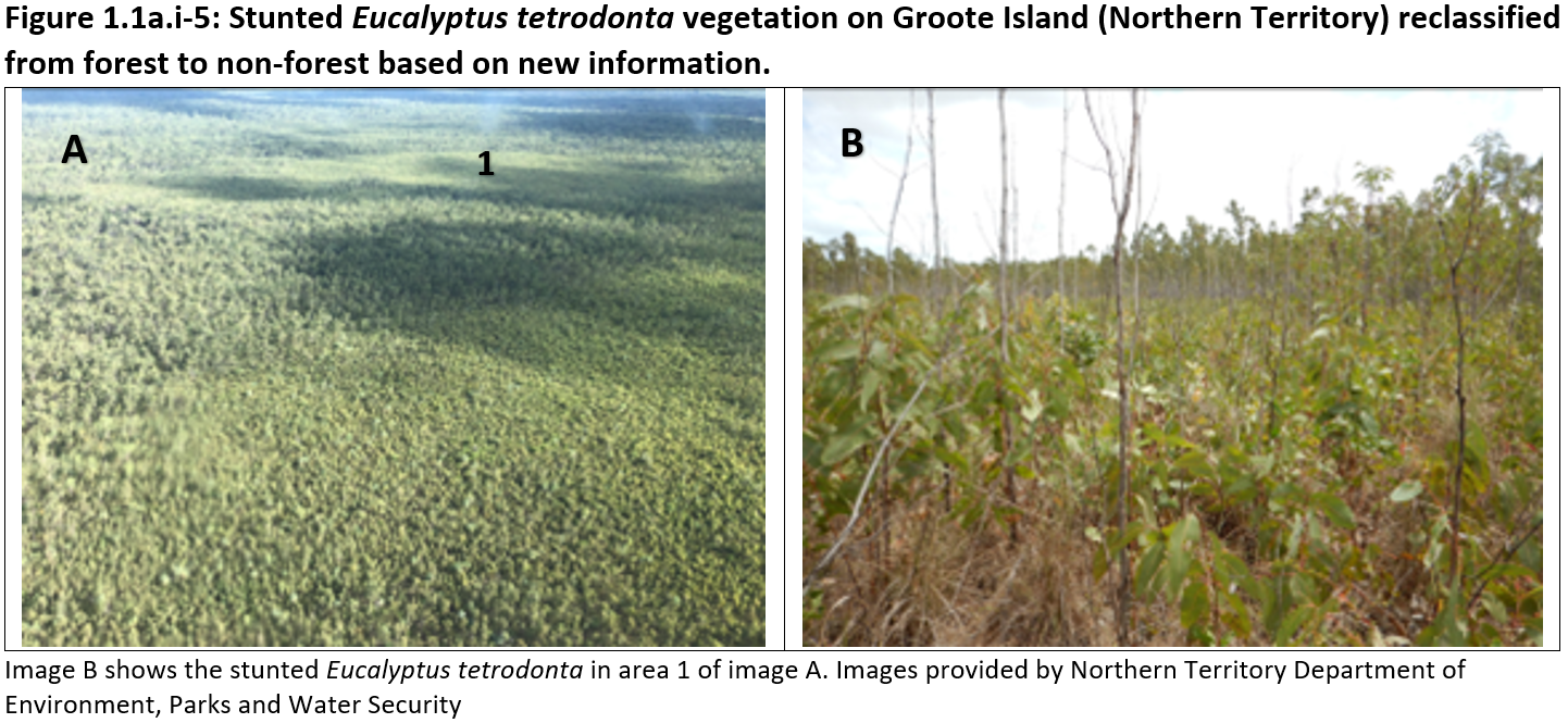Figure 1.1a.i-5: Stunted Eucalyptus tetrodonta vegetation on Groote Island (Northern Territory) reclassified from forest to non-forest based on new information. 