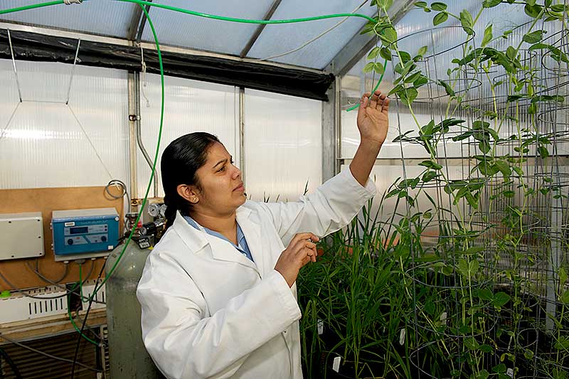 International Day of Plant Health 2023 DAFF