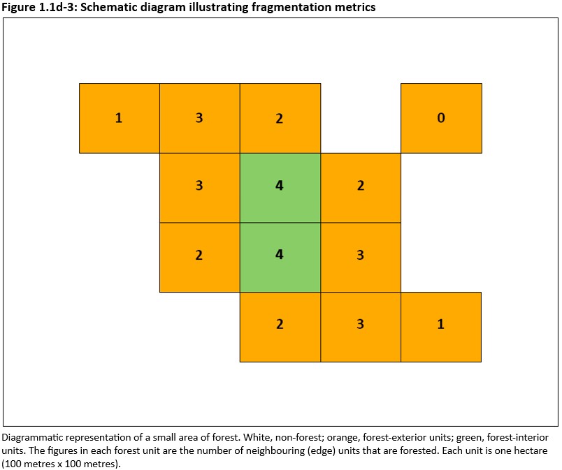 Figure 1.1d-3: Schematic diagram illustrating fragmentation metrics 