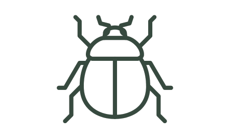Icon of a beetle