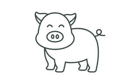 Icon of a pig