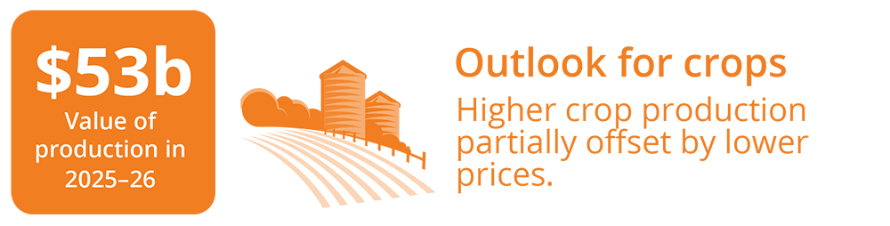 Outlook for crops