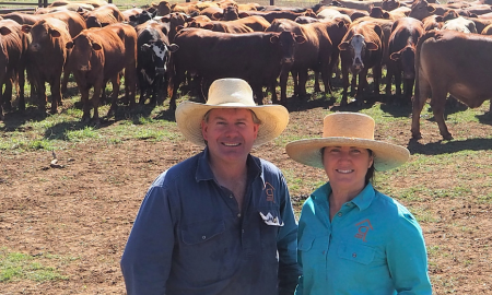 Price Cattle Company
