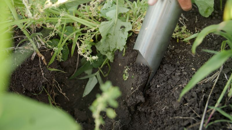 Soil-01-V3.jpg