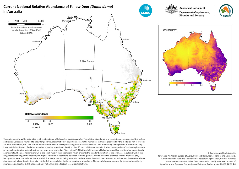 A map showing the estimated relative abundance of fallow deer across Australia. An inset map shows the uncertainty, presented as the standard deviation of the relative abundance estimate. Higher values of the standard deviation indicate greater uncertainty in the estimate. Fallow deer have a patchy distribution, with&nbsp;greater&nbsp;relative&nbsp;abundance&nbsp;modelled&nbsp;in areas of&nbsp;Victoria, New South Wales, Tasmanian and south-east South Australia, along with smaller populations in Queensland, Western&nbsp;Australia, and the Aus
