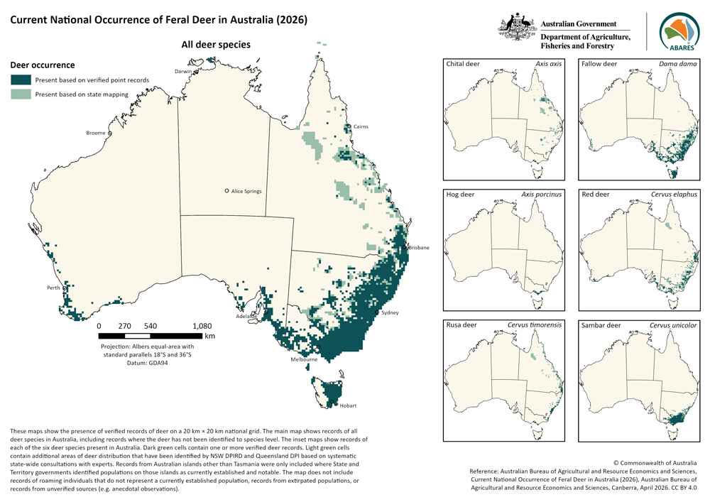 A map showing the occurrence of deer on a 20 km × 20 km national grid across Australia. The main map shows records of all deer species in Australia, including records where the deer has not been identified to species level. The inset maps show records of each of the six deer species present in Australia. Fallow, sambar, red and rusa deer&nbsp;have widespread occurrences in a range of&nbsp;jurisdictions,&nbsp;while established populations of chital deer are limited to Queensland and New South Wales, and hog deer to Victori