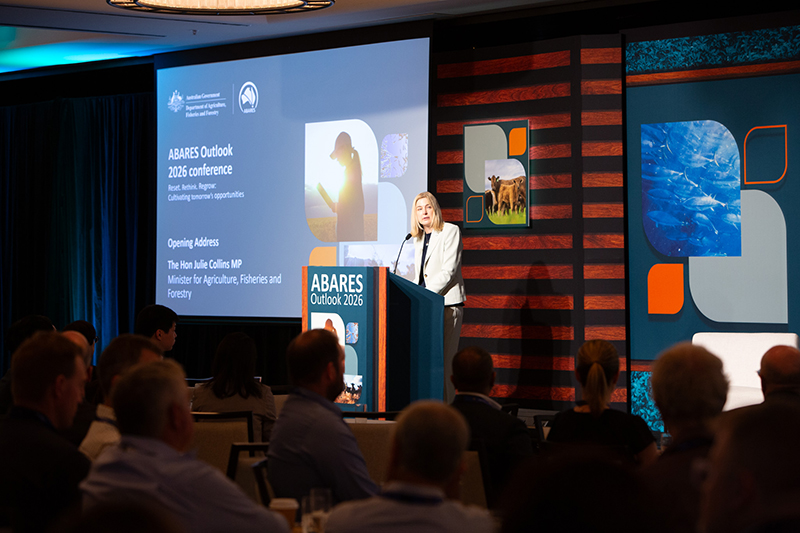 A person gives a presentation on a stage in front of a raised dais 