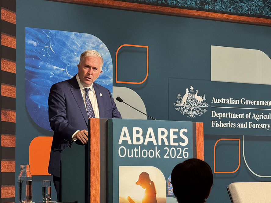 A person gives a presentation on a stage in front of a raised dais 