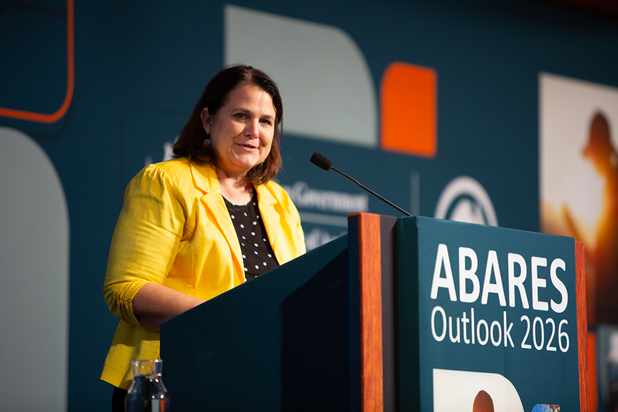 A person gives a presentation on a stage in front of a raised dais 