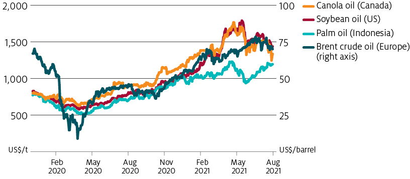 Canola oil and soybean oil prices have approximately doubled over 2020-21. Rising vegetable oil prices have coincided with rising crude oil prices.