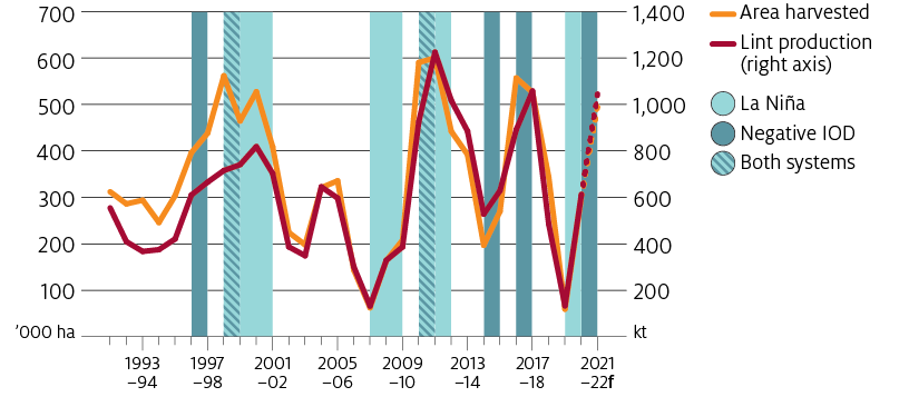 The amount of cotton area harvested and the lint produced in Australia increases with the presence of La Niña and negative Indian Ocean Dipole events. A La Niña event in 2020–21 and a negative Indian Ocean Dipole in 2021 will contribute to a substantial increase in cotton area harvested and lint production.
