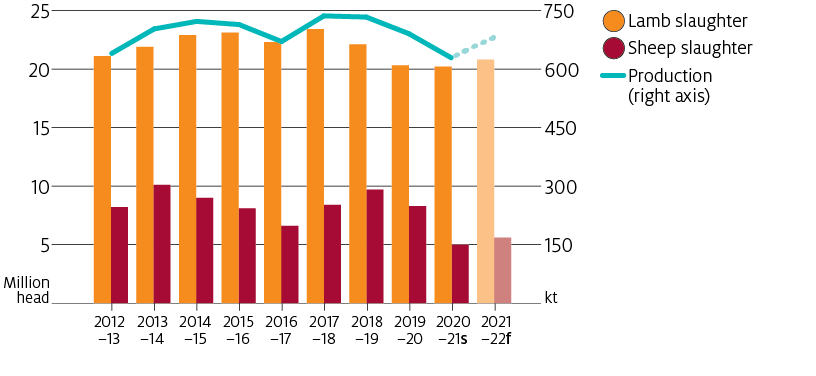 Sheep meat production is forecast to rise in 2021–22 from a low level in 2020–21. This increase in production is supported by an increase in lamb and sheep slaughter in 2021–22.