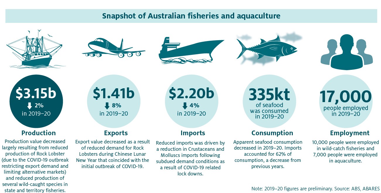 Fisheries and aquaculture statistics 2020 - DAFF