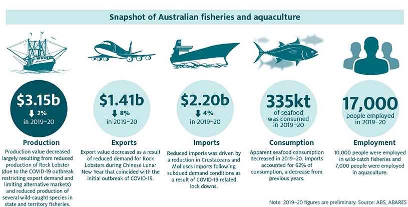 Shows a snapshot of Australian fisheries and aquaculture with preliminary 2019–20 figures.
Gross value of production decreased by 2% in 2019–20 to $3.15 billion. Production value decreased largely resulting from reduced Rock Lobster production due to the COVID-19 outbreak restricting export demand and limiting alternative markets, as well as reduced production of several wild-caught species in state and territory fisheries.
Export value decreased by 8% in 2019–20 to $1.41 billion. Export value decreased as a result of reduced demand for Rock Lobsters during the Chinese Lunar New Year that coincided with the initial outbreak of COVID-19.
Import value decreased by 4% in 2019–20 to $2.2 billion. Reduced imports was driven by a reduction in Crustaceans and Molluscs imports following subdued demand conditions as a result of COVID-19 related lock downs.
Apparent consumption of seafood decreased in 2019–20 to 335 thousand tonnes. Imports accounted for 62% of consumption, a decrease from previous years.
17,000 people were employed in fisheries and aquaculture in 2019–20. 10,000 people were employed in wild-catch fisheries and 7,000 people were employed in aquaculture.