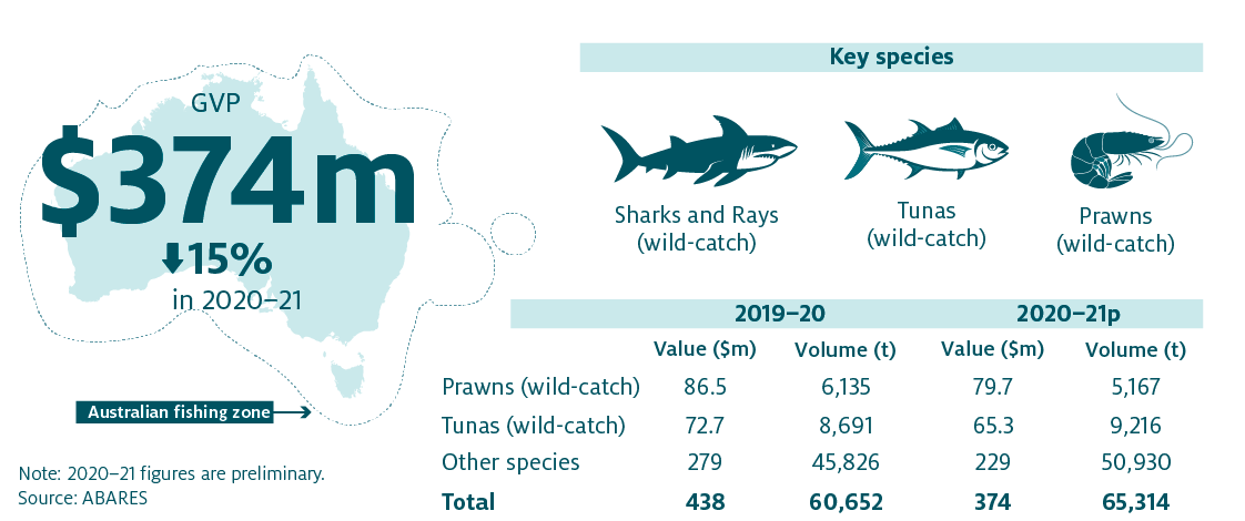 Shows that total Commonwealth fisheries production increased by 15% in 2020–21 to $374 million. The key species produced are Sharks and Rays (wild-catch), Tunas (wild-catch) and Prawns (wild catch).